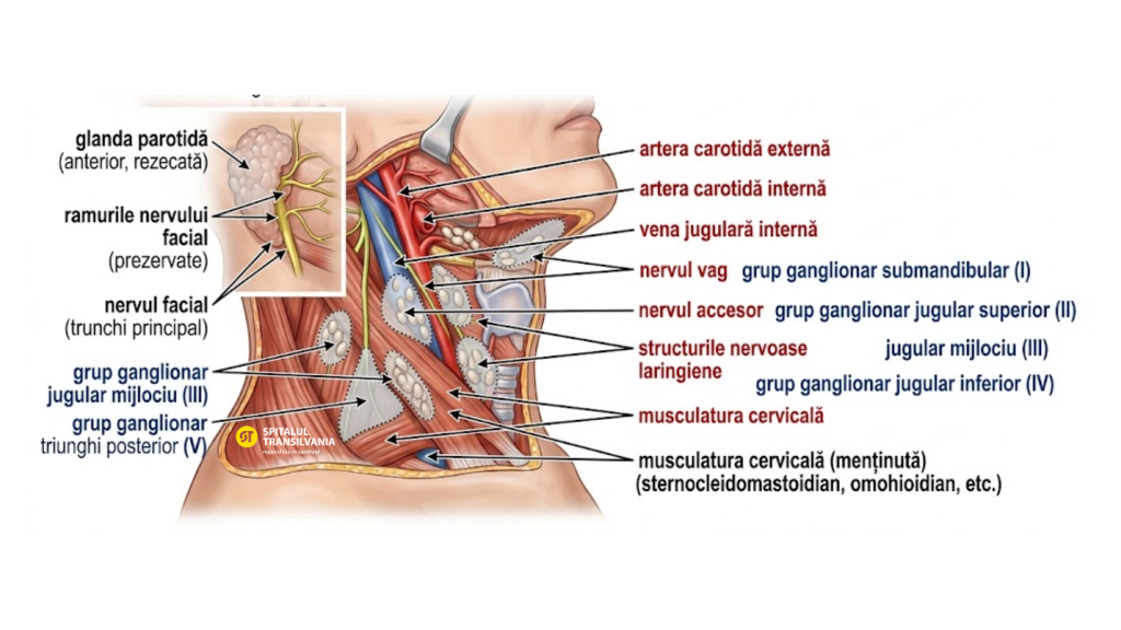 tvjobblog educational ilustratie 1