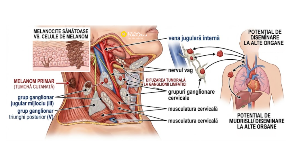 tvjobblog educational ilustratie 2